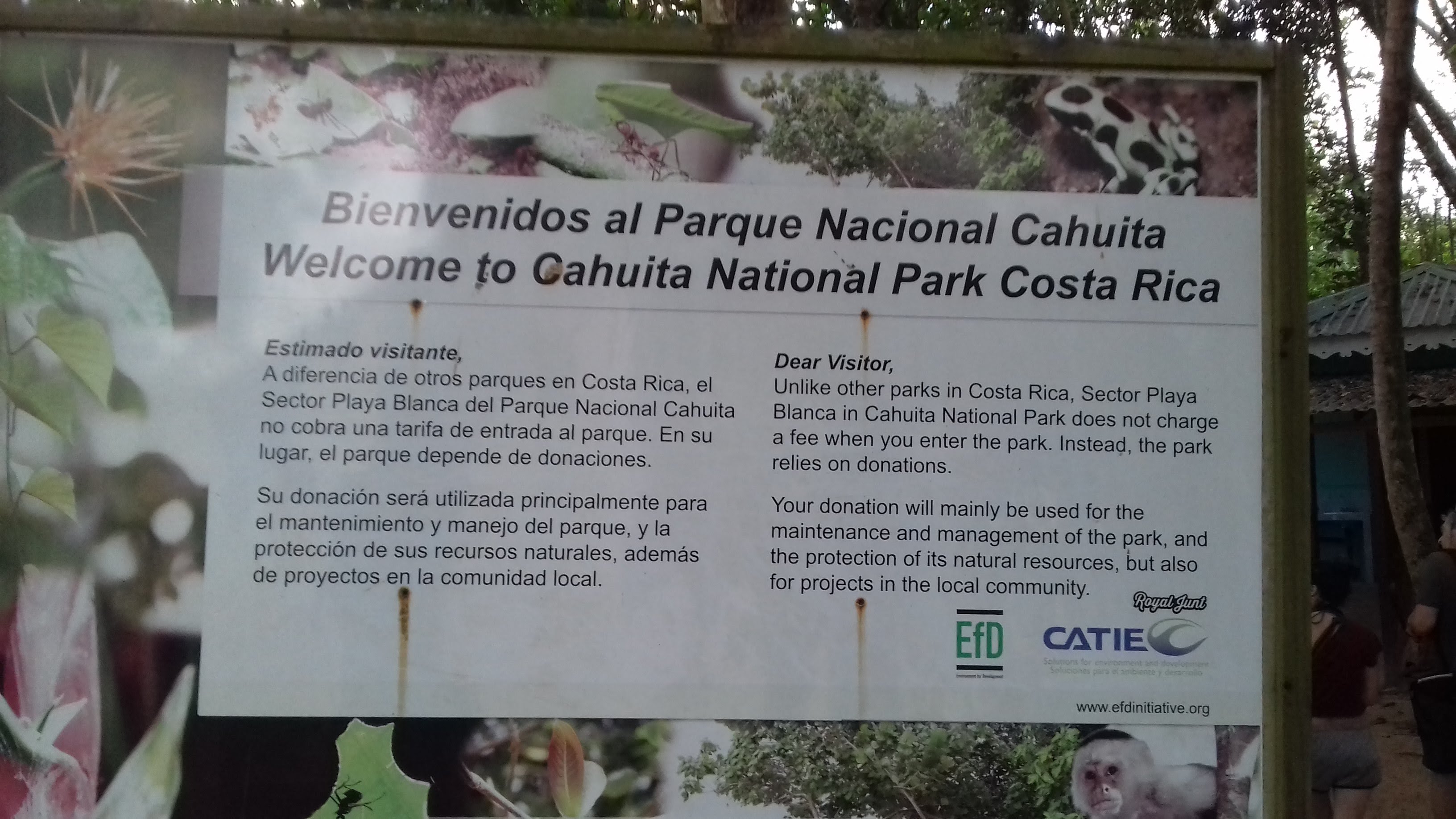 Parco nazionale Cahuita